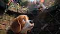 create 3d kids songs and nursery rhymes animation for youtube
