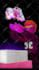 do 3d retro animation in playstation one style
