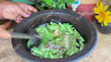 make viral village cooking videos for your youtube