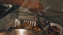 do professional food and restaurant video editing