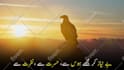 record a professional urdu hindi voiceover with a deep voice