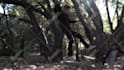 create professional vfx composition for your videos