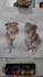do a custom watercolor pet portrait painting