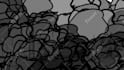 make custom black and white 2d animation video