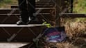 remove unwanted objects, text, people, wire from video vfx