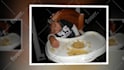 do a graduation photo slideshow video up to 500 photos