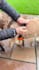 create engaging 50 plus for beauty, lifestyle, dog ugc brands
