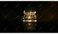 do gold fire logo reveal animation