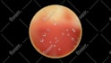 create 3d planet or moon animation