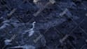 create custom dark 3d scene logo animation