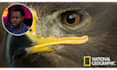 do professional talking head and vsl video editing