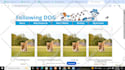design or redesign  godaddy or wordpress website, godaddy builder