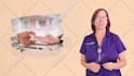 do pro youtube talking head videos with modern, eye catchy visuals