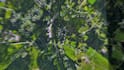 create an epic earth zoom animation to any location