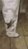 your custom clothing manufacturer, clothing mockup designer