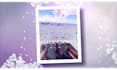 create photo slideshow for wedding, birthday, anniversary