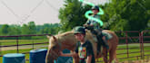 do visual effects,compositing on your videos
