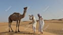 do tik tok dance, dance video, dance camel, group dance