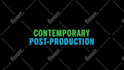 create a unique and custom logo animation intro