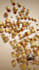 create custom 3d motion graphics animation