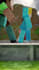 do a professional level minecraft animation