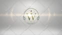 create a premium logo intro and youtube animated intro video