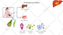 make viral paint style explainer videos