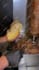 do tasty food edit for your video
