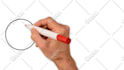 create a custom whiteboard animation explainer video that drive sales