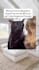 create viral meme instagram reels