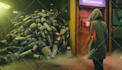 do video editing and motion graphics design