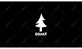 create clean logo animation for your youtube channel