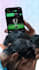 do custom motion graphic video editing for youtube instagram reels tiktok