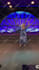 do manipulation,montage,photoshop birthday video, edit video