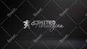 create youtube intro outro and logo reveal animation