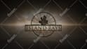 create stunning animated logo and youtube intro outro