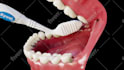3d design, 3d model and make a video for your product