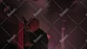 professionally edit your multicam live concert video