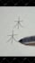 handwrite anything for u in chinese