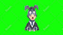 design and rigging pro vtuber model live2d high quality for vtube studio