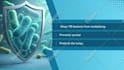 edit your videos professionally in canva pro and filmora