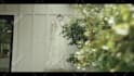 do cinematic wedding video editing