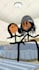 create engaging stickman and 2d animations for social media