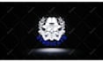 custom luxury logo animation intro video