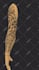 design a polynesian maori tribal tattoo