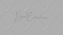 create your best logo animation