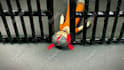 create stop motion, claymation animation
