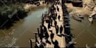 create ai bible story realistic biblical cinematic ai videos for jesus birth