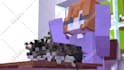 make you a minecraft animation for your content