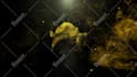make horse and lion logo animation intro